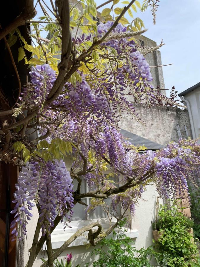 Hotel De La Sologne Beaugency Exterior foto